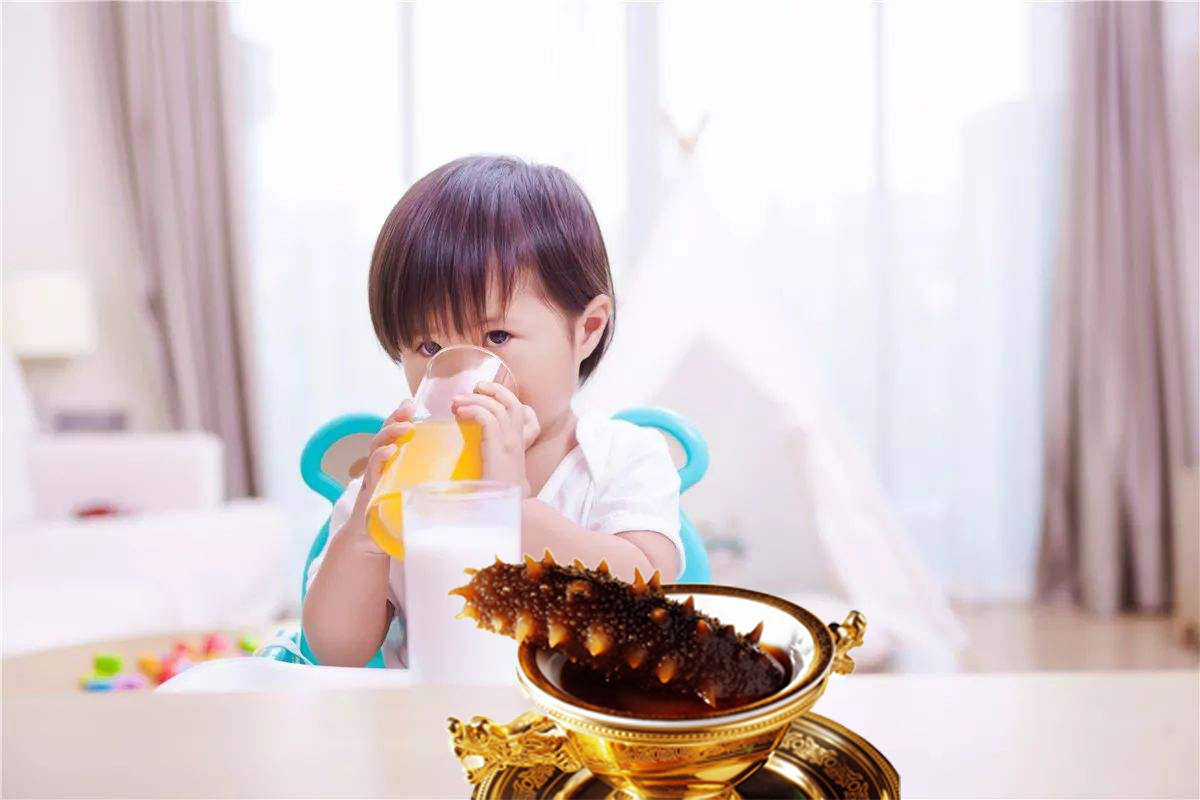 儿童吃海参的好处