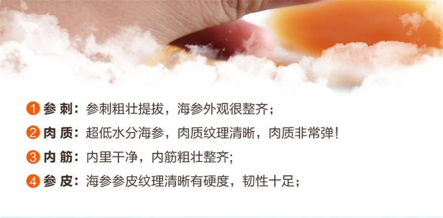 野生海参的功效