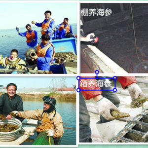 海参均价多少钱一斤才算正常？