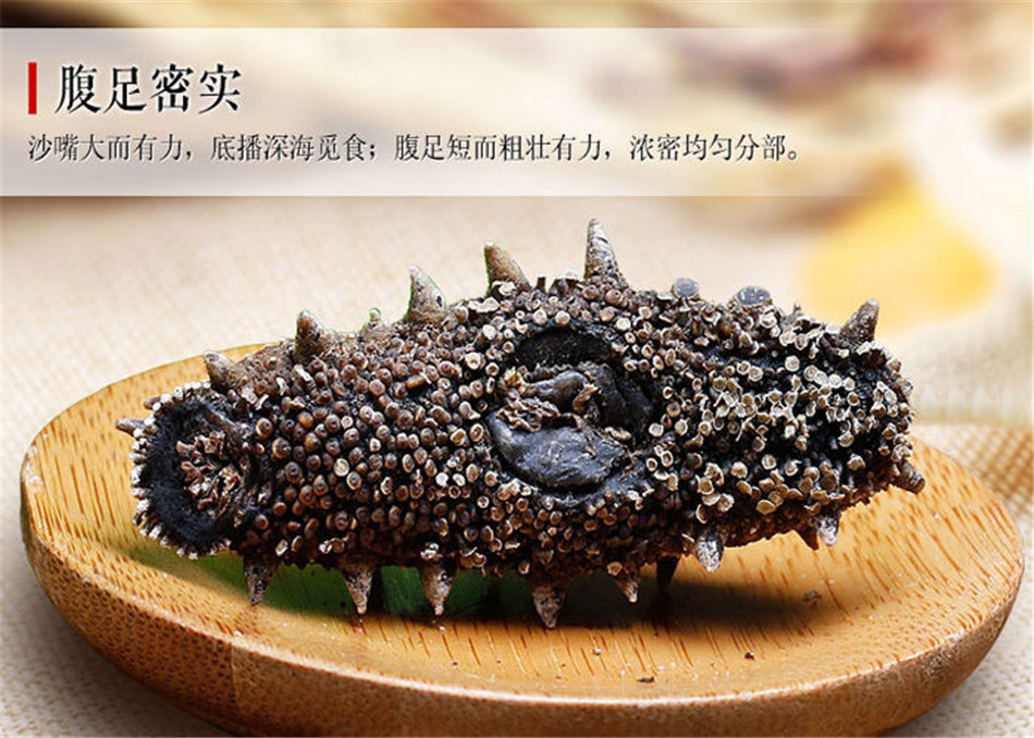 海参的功效和作用