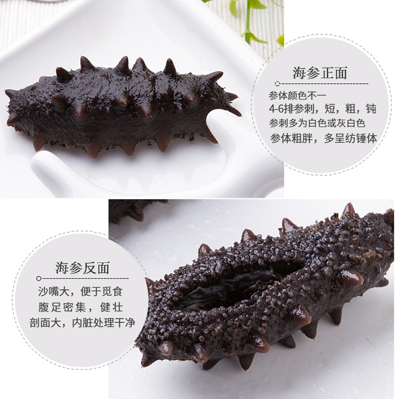 孕期不同阶段吃海参的注意事项