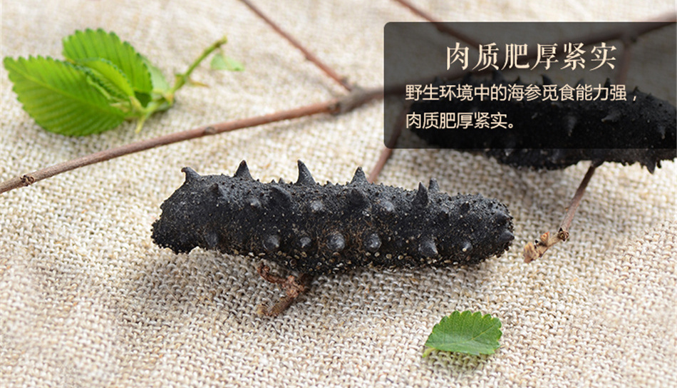海参一周吃几个最佳