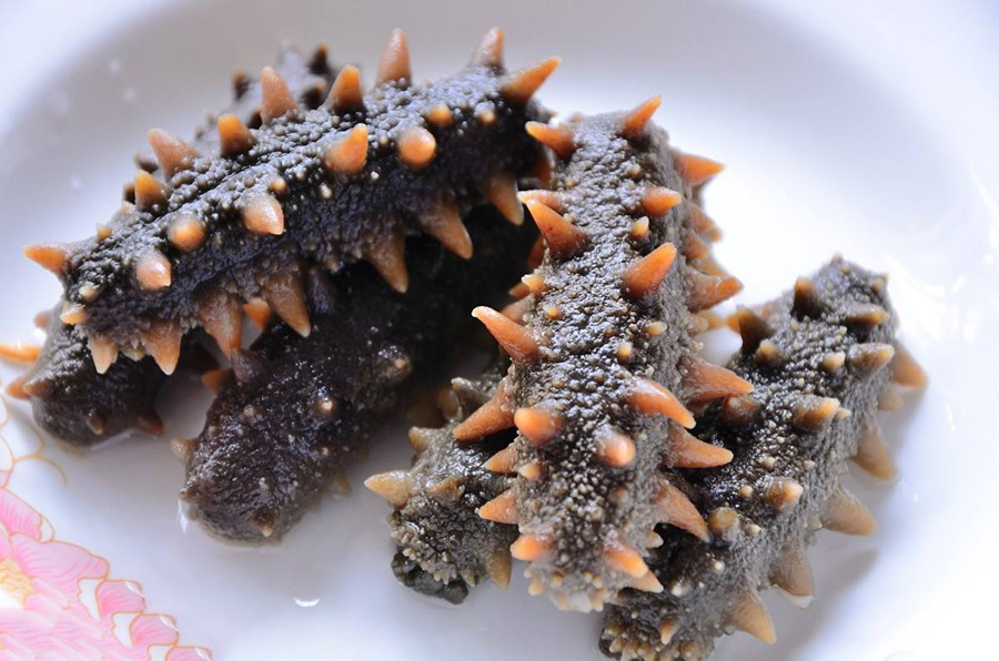 常年吃海参的好处